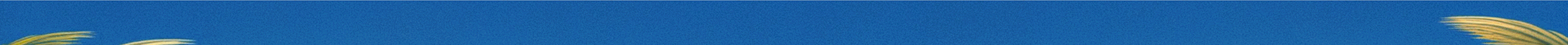 Crispy Cocktails Header